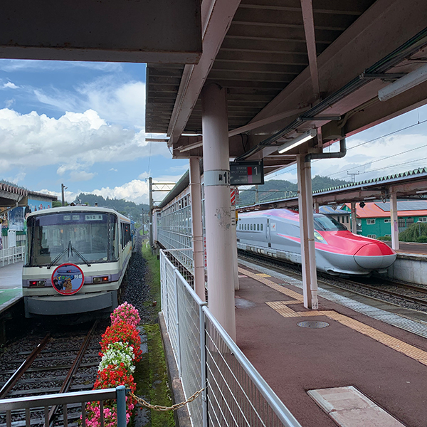 バイキング列車