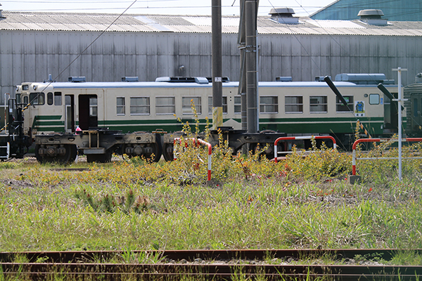 キハ40、EF81-137解体待ち@秋田総合車両センター | 親子鉄 キハ40、EF81-137解体待ち@秋田総合車両センター | 親子鉄