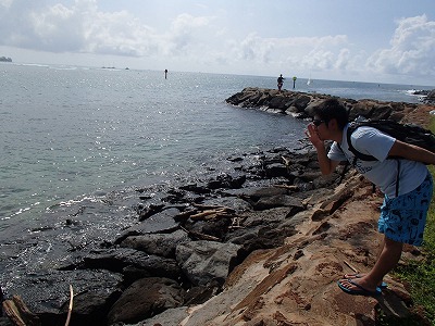 s-PA276968.jpg