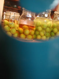 ume