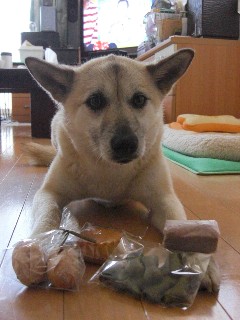 犬用おやつプレゼント