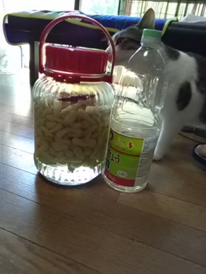 2018052716353901.jpg