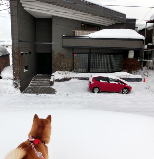 blizzard2.jpg