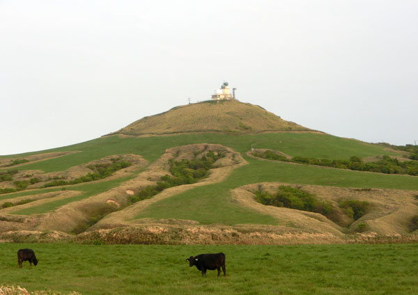 r8.jpg