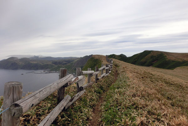 r91.jpg