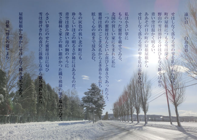 しらとり(1月5日頃まで) てん on X: 