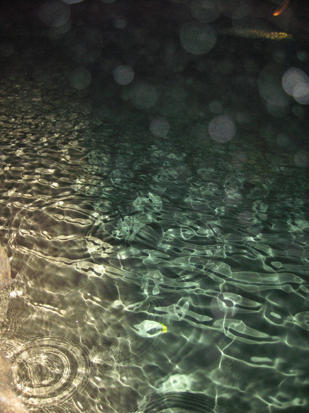 Harrisons Cave  in Barbados.JPG