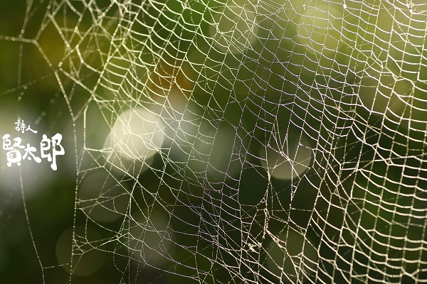 ¤¤é¤ê¤¯¤â¤Î¤¹web600.jpg
