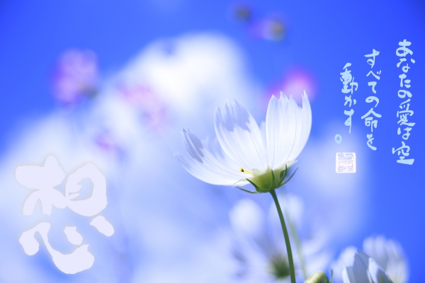 Èþ¹¬¤µ¤ó¥á¥Ã¥»¡¼¥¸.jpg