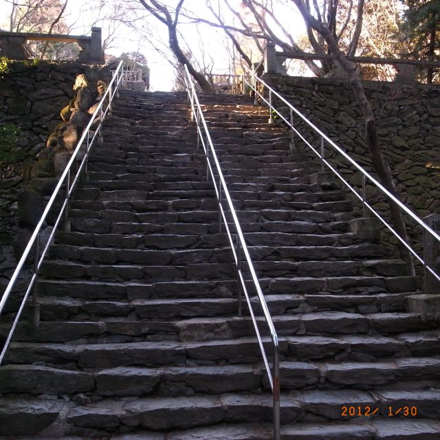 _0017557_640.jpg
