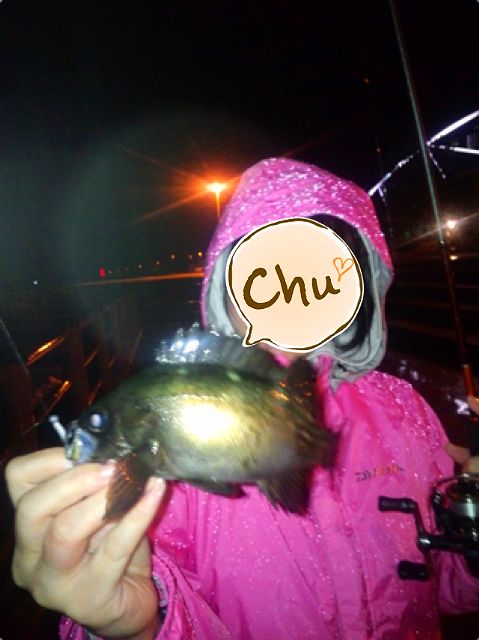 写真 (1)_640.jpg
