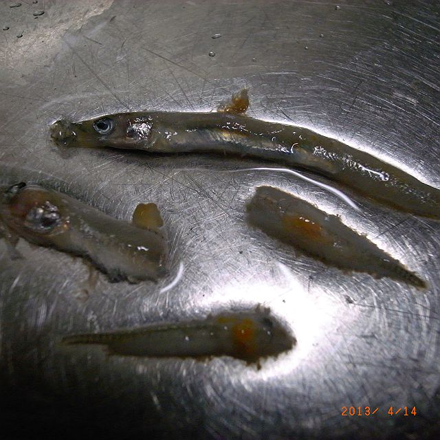 RIMG3241_640.jpg