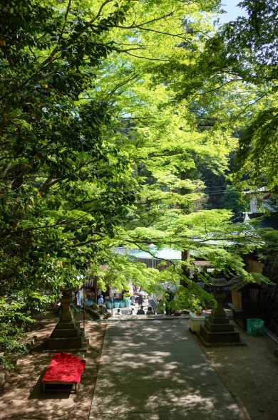 GR010227.JPG
