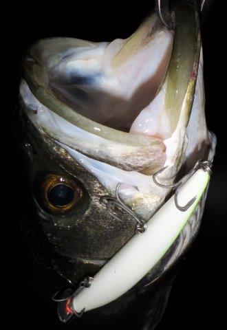 DSCF9357.JPG