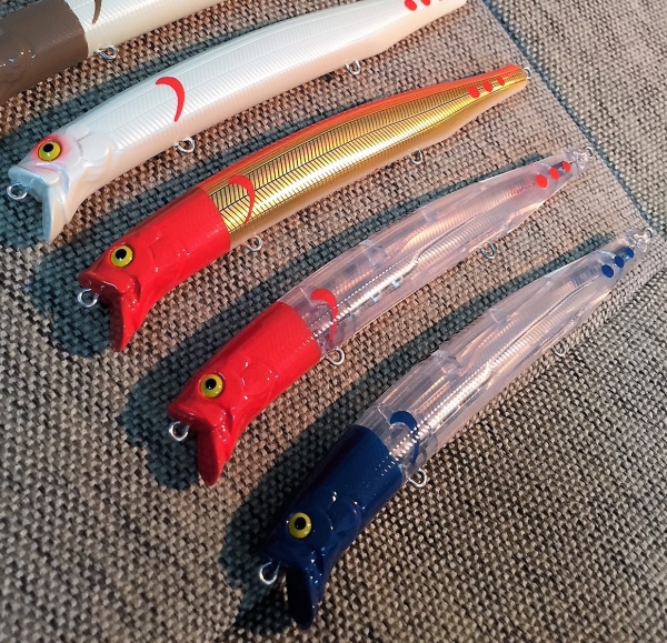 cfs15504.JPG