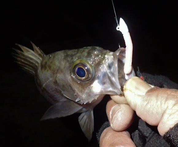 P1040028.jpg