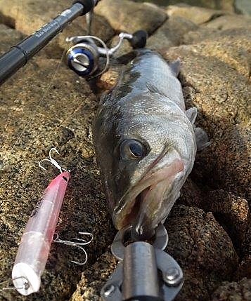 IMG_1820.JPG