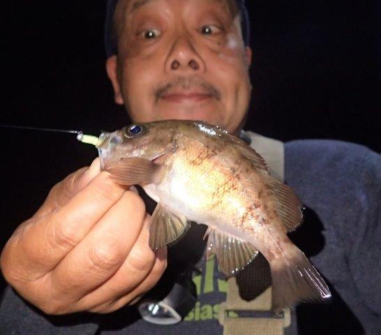 P5220020.jpg