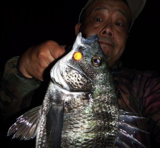 DSCF0429.jpg
