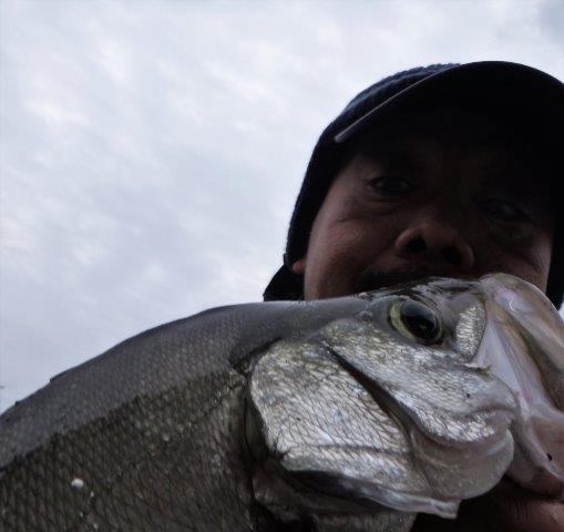 DSCF0950.jpg