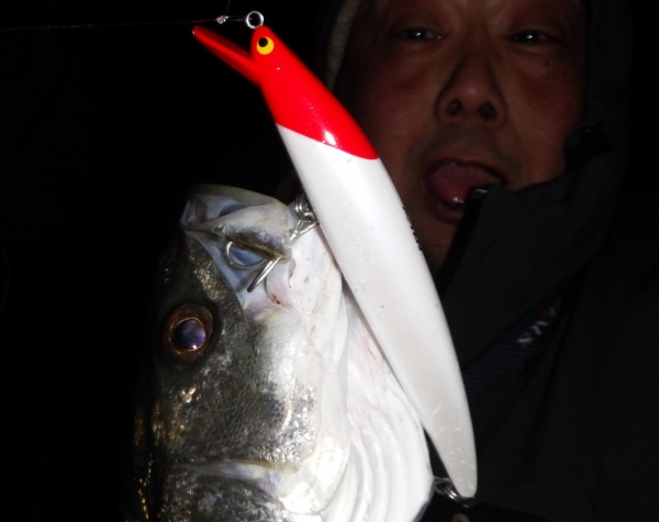 DSCF1060.JPG