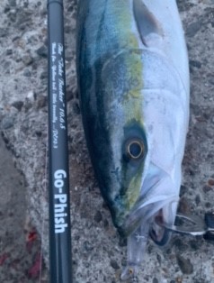 cache_Messagep34541.JPG