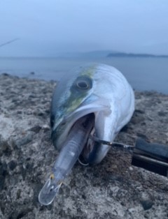 cache_Messagep34542.JPG