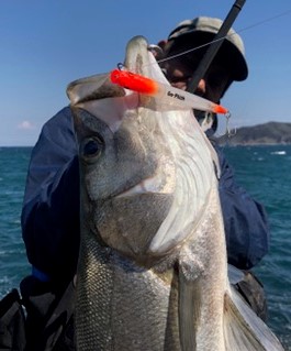 cache_Messagep34599.JPG