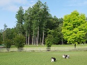 20160717.JPG