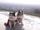 20150101_0049 - コピー.JPG