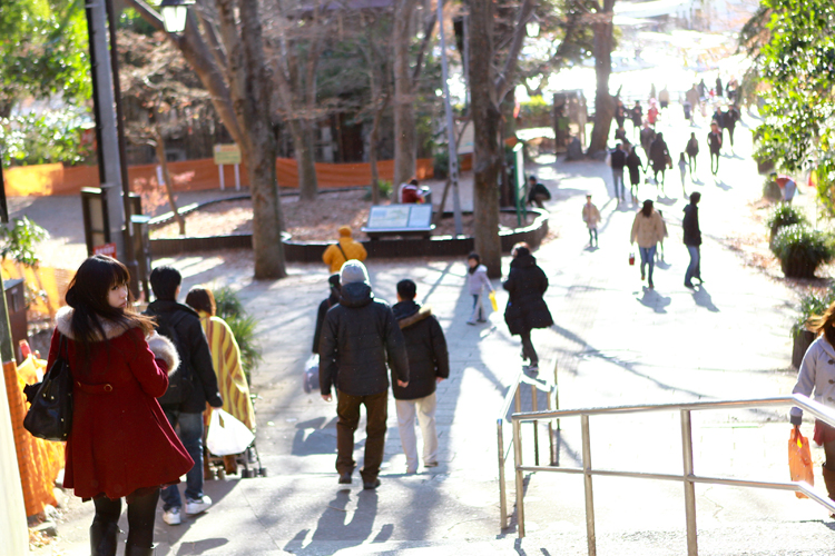201111-1790.jpg