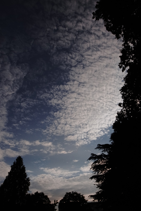 R0013684.jpg