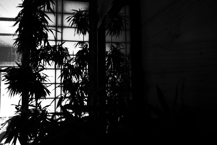 R0013888.jpg