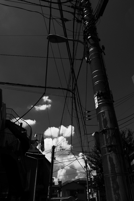 R0014036.jpg