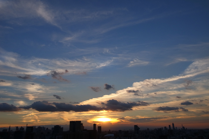 R0014144.jpg
