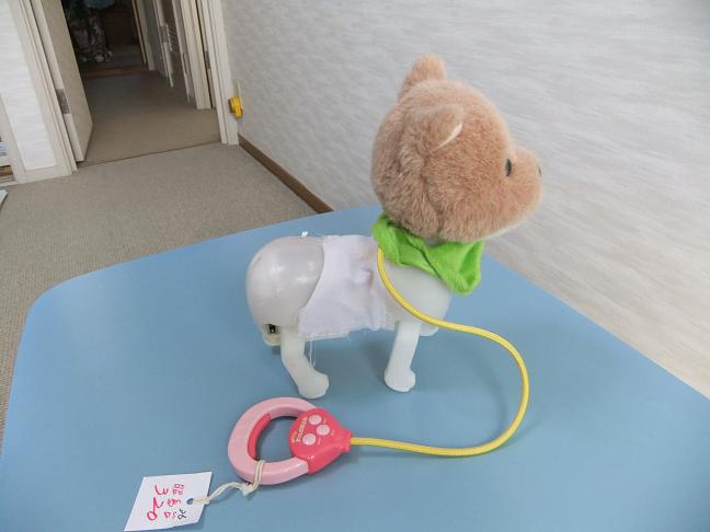 縫いぐるみの修理 お散歩犬舜太郎 あきしまおもちゃ病院ブログ