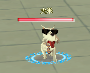 イヌ
