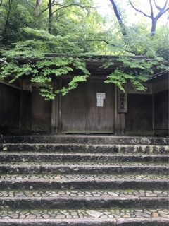 iPhoneImage.png