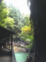 秋芳洞