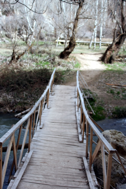 20060323_hasi