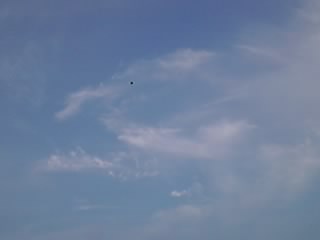 09-06-26_001.jpg