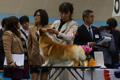グリーン