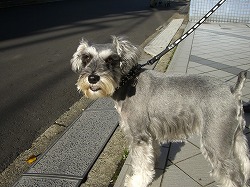 フネちゃん