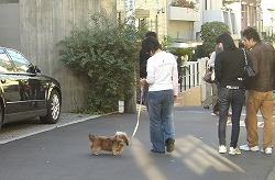 おとぼけ