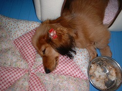 ご飯残しエル