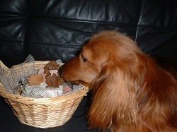 1歳バースディ