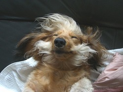 2005年の眠り姫?