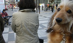 どう?