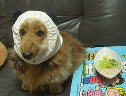 そしてダイエット敢行中☆