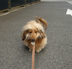 アンヨしてあげてもいいけどぉ。。。